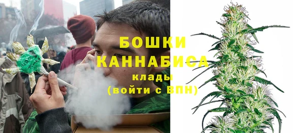 PSILOCYBIN Алексеевка